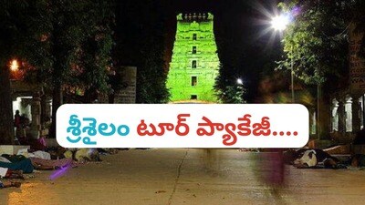 హైదరాబాద్ - శ్రీశైలం టూర్ ప్యాకేజీ హైదరాబాద్ - శ్రీశైలం టూర్ ప్యాకేజీ