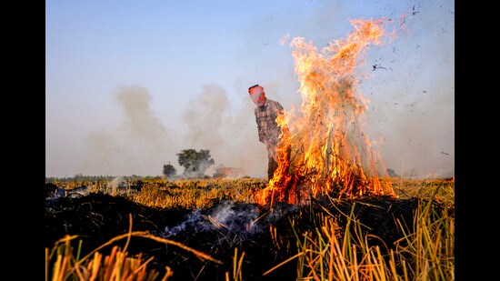 One of the senior officials of the PPCB said that detailed written explanations were sought from the concerned nodal officers and supervisors. (File)