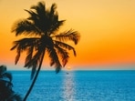 Goa: India's party capital for vibrant beaches and New Year revelry.(Unsplash)