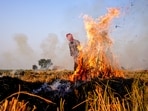 In the last 72 hours, only 43 farm fire incidents have been reported across the state. (File)