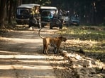 India is home to some of the most diverse and captivating national parks in the world.