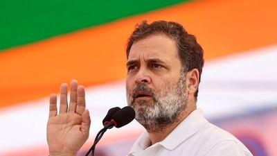 Rahul Gandhi expressed his satisfaction that Nehru's intellectual and political legacy is now available to the public without restrictions. (AICC/ANI Photo) Rahul Gandhi expressed his satisfaction that Nehru's intellectual and political legacy is now available to the public without restrictions. (AICC/ANI Photo)