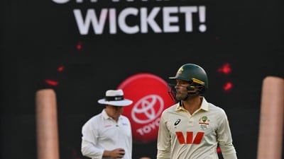 Alex Carey was one of the players under fire from the Australian media. (AFP) Alex Carey was one of the players under fire from the Australian media. (AFP)