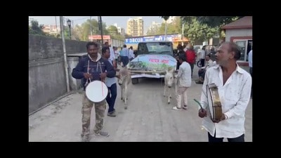 The organisation (formerly known as Humane Society International/India) has written to the Pune district collector seeking urgent action. (HT) The organisation (formerly known as Humane Society International/India) has written to the Pune district collector seeking urgent action. (HT)