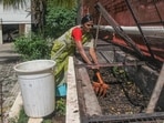 Bulk waste generators, whether residential or commercial, are responsible for treating wet waste at their level. (REPRESENTATIVE PHOTO)