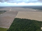 This aerial view shows a deforested area of the Amazon rainforest in Nova Esperanca do Piria, Para state, Brazil on November 12. (AFP) This aerial view shows a deforested area of the Amazon rainforest in Nova Esperanca do Piria, Para state, Brazil on November 12. (AFP)