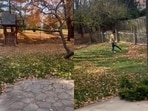 A viral clip showed an Indian woman in the US joking about the struggle of cleaning and maintaining a large house. A viral clip showed an Indian woman in the US joking about the struggle of cleaning and maintaining a large house.