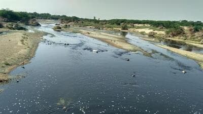 A comittee set up by NGT visited in 2017 (Representative Image/File Photo) A comittee set up by NGT visited in 2017 (Representative Image/File Photo)