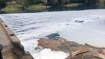 Incidents of fish kill have been reported at the location in the past. (HT PHOTO) Incidents of fish kill have been reported at the location in the past. (HT PHOTO)