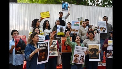 Protestors at Jantar Mantar formed WhatsApp networks, shared letters for a national campaign, and warned the order could increase cruelty against community animals. (Vipin Kumar/HT) Protestors at Jantar Mantar formed WhatsApp networks, shared letters for a national campaign, and warned the order could increase cruelty against community animals. (Vipin Kumar/HT)