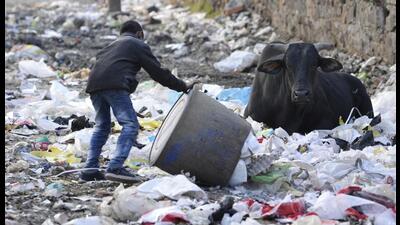 The officials added that the lapses were contributing to growing environmental risks. (HT Photo) The officials added that the lapses were contributing to growing environmental risks. (HT Photo)