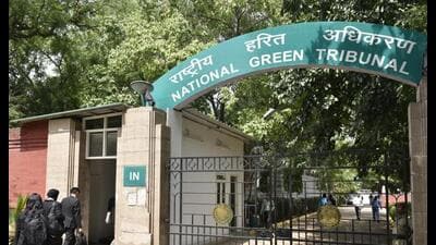 The tribunal also instructed the DPCC to inspect the site to ensure that neither sewage nor solid waste is discharged into the pond (HT photo) The tribunal also instructed the DPCC to inspect the site to ensure that neither sewage nor solid waste is discharged into the pond (HT photo)