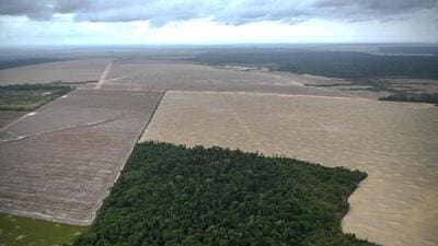 This aerial view shows a deforested area of the Amazon rainforest in Nova Esperanca do Piria, Para state, Brazil on November 12. (AFP) This aerial view shows a deforested area of the Amazon rainforest in Nova Esperanca do Piria, Para state, Brazil on November 12. (AFP)