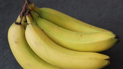 During a routine check by security personnel, it was found that the banana sacks had been carefully slit open. (Pixaby) During a routine check by security personnel, it was found that the banana sacks had been carefully slit open. (Pixaby)