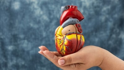 Plaque buildup in the arteries causes heart attacks, making it extremely critical to keep your arteries clean. (Picture credit: Freepik) Plaque buildup in the arteries causes heart attacks, making it extremely critical to keep your arteries clean. (Picture credit: Freepik)