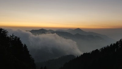 Landour boasts of Deodar forests and quiet cafes. (Representative image/Unsplash) Landour boasts of Deodar forests and quiet cafes. (Representative image/Unsplash)