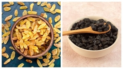 Know which type of raisin is better for your health! (Picture credit: Freepik) Know which type of raisin is better for your health! (Picture credit: Freepik)