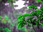 తెలంగాణ, ఏపీ వర్షాలు