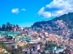 Shimla is surrounded by pine, oak and deodar forests.(Representative image/Unsplash)