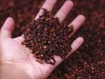 Cloves can treat memory deficits caused by oxidative stress. Cloves can treat memory deficits caused by oxidative stress.
