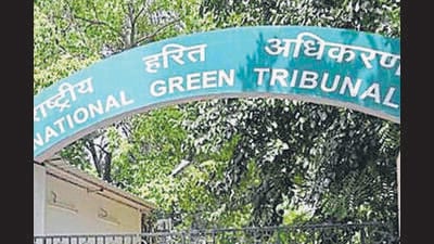 In April last year, the NGT had disposed the plea, asking DPCC to look into the allegations. (HT Archive) In April last year, the NGT had disposed the plea, asking DPCC to look into the allegations. (HT Archive)