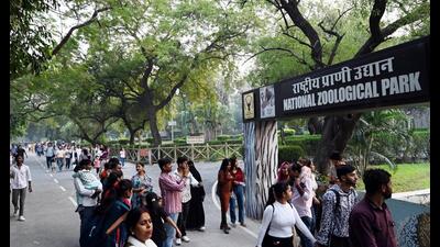 Visitors at the Delhi Zoo (HT photo) Visitors at the Delhi Zoo (HT photo)