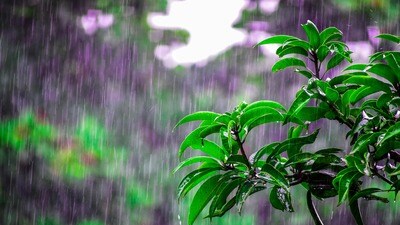 తెలంగాణ, ఏపీ వర్షాలు