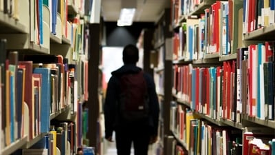 SEVIS terminated: Student expresses concerns over status termination affecting ability to apply for OPT.