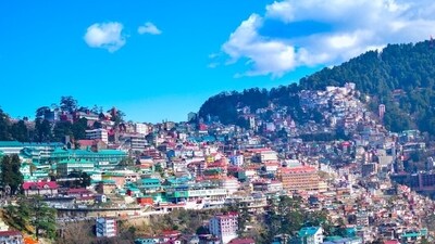 Shimla is surrounded by pine, oak and deodar forests. (Representative image/Unsplash) Shimla is surrounded by pine, oak and deodar forests. (Representative image/Unsplash)