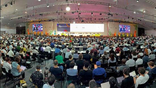 India expressed its support to the COP30 Presidency. (AFP)