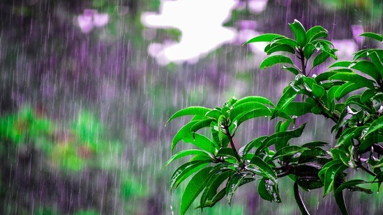 తెలంగాణ, ఏపీ వర్షాలు