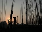 The workers shared a video requesting a return to India with a social activist, Sikander Ali The workers shared a video requesting a return to India with a social activist, Sikander Ali