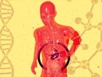 A silent liver disease is rising fast across the US
