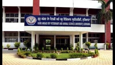 The event will be conducted in two phases. (HT File) The event will be conducted in two phases. (HT File)