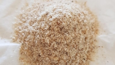 Psyllium husk aka Isabgol benefits (Pixabay) Psyllium husk aka Isabgol benefits (Pixabay)
