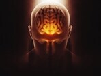 Dr Jay Jagannathan reveals consistency is key to brain health. (Freepik)