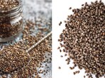 Which seeds help reduce belly fat? Sabja and chia seeds