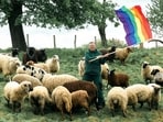 Fashion Designer uses wool from ‘gay’ sheep to create new fashion line in USA