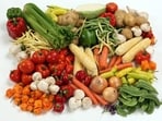 Vegan recipes for Thanksgiving 2025.