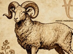 Aries Horoscope Today: Read our expert astrological predictions to find out what the stars have in store for you.

