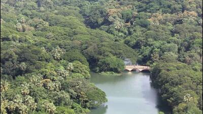Forest dept flags ‘liberal’ SGNP draft plan, seeks revisions