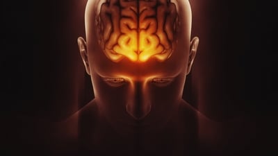 Dr Jay Jagannathan reveals consistency is key to brain health. (Freepik) Dr Jay Jagannathan reveals consistency is key to brain health. (Freepik)