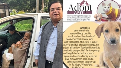 Angel is a one-month old pup who was rescued and fostered in Noida. Angel is a one-month old pup who was rescued and fostered in Noida.