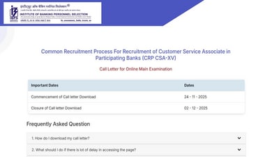 IBPS Clerk Mains Admit Card 2025 released at ibps.in, download link here IBPS Clerk Mains Admit Card 2025 released at ibps.in, download link here