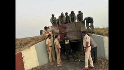Mohol instructed the Airport Authority of India (AAI) and the forest department to collaborate more closely and incorporate specialised tools into the ongoing search. (HT) Mohol instructed the Airport Authority of India (AAI) and the forest department to collaborate more closely and incorporate specialised tools into the ongoing search. (HT)