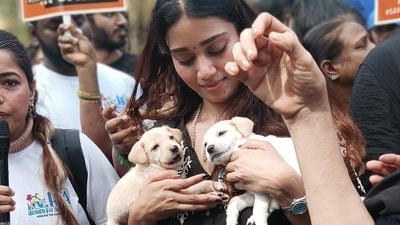 Nivetha Pethuraj attended a pro-street dog rally in Chennai this weekend, and a statement she made there is now getting called out. Nivetha Pethuraj attended a pro-street dog rally in Chennai this weekend, and a statement she made there is now getting called out.