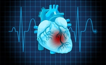 Every minute that passes after a heart attack begins, more of the heart muscle is damaged. (Freepik) Every minute that passes after a heart attack begins, more of the heart muscle is damaged. (Freepik)