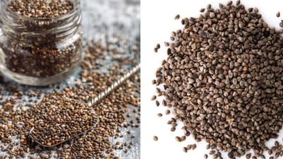 Which seeds help reduce belly fat? Sabja and chia seeds (Freepik) Which seeds help reduce belly fat? Sabja and chia seeds (Freepik)