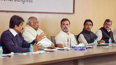 Congress President Mallikarjun Kharge and Leader of Opposition in the Lok Sabha Rahul Gandhi during a meeting with senior Congress leaders in New Delhi. (PTI) Congress President Mallikarjun Kharge and Leader of Opposition in the Lok Sabha Rahul Gandhi during a meeting with senior Congress leaders in New Delhi. (PTI)