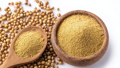 Seeds or powder? Find out which coriander form boosts digestion and keeps cholesterol in check. (Adobe Stock ) Seeds or powder? Find out which coriander form boosts digestion and keeps cholesterol in check. (Adobe Stock )